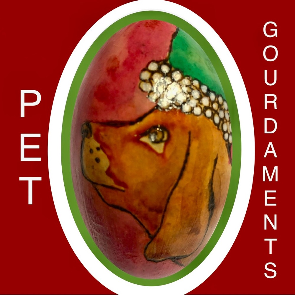Custom Gifts Original Pet Art Ornaments ~ Gourdaments • All Animals Considered🐾